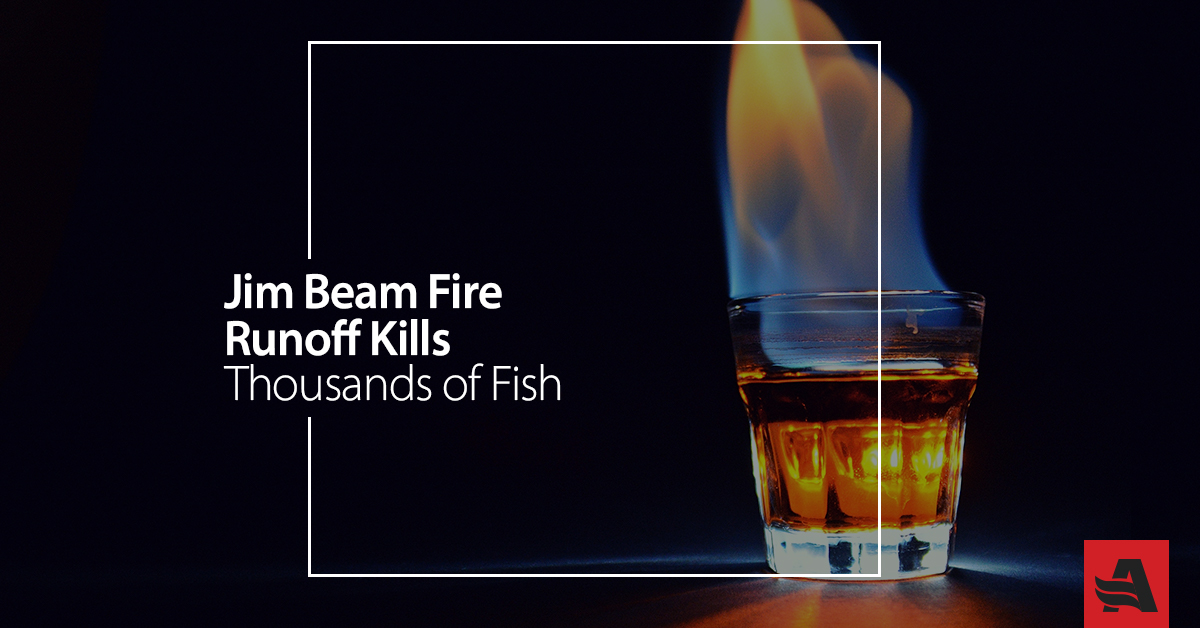 Jim Beam Fire Runoff Kills Thousands of Fish