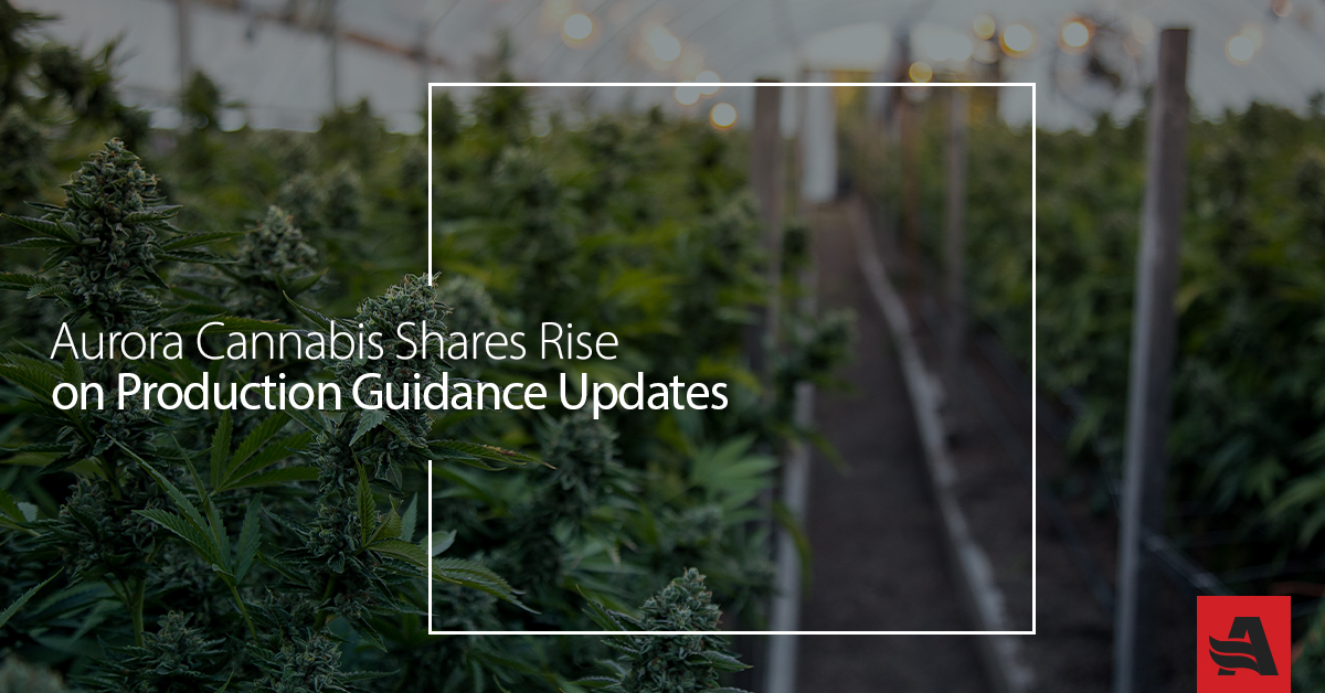 Aurora Cannabis Shares Rise on Production Guidance Updates