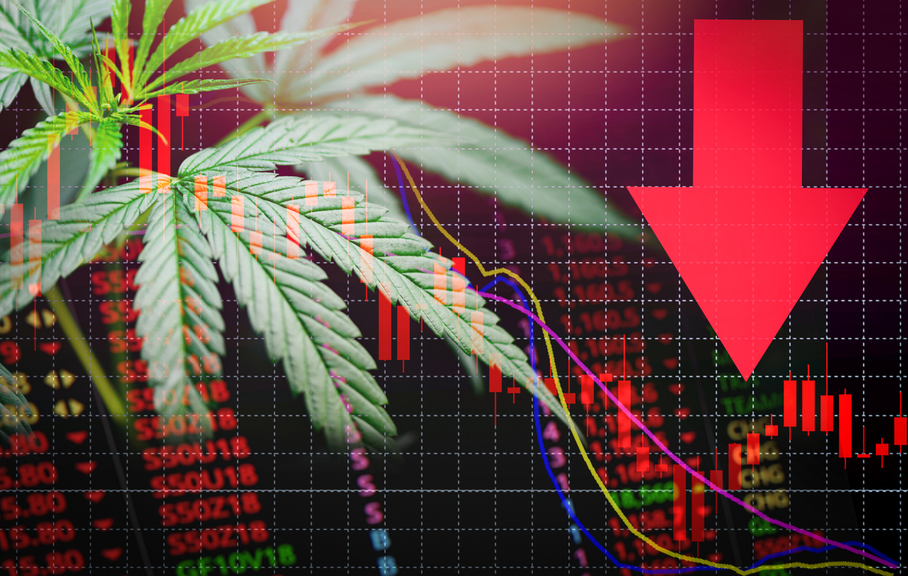 Aurora Cannabis Stock Hits All-Time Low After Massive Earnings Miss