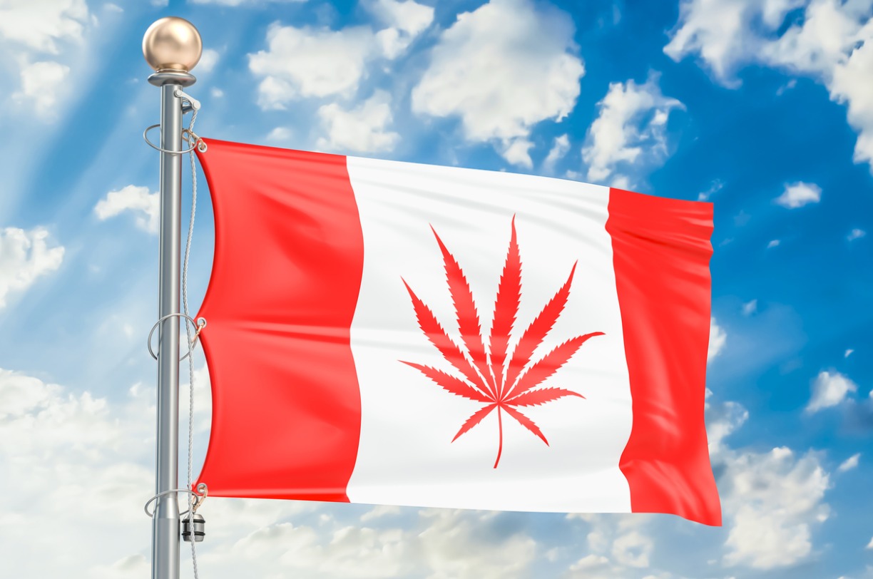Constellation Brands Appoints New CEO of Canopy Growth