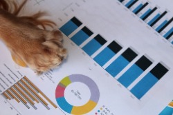 General Mills Stock Gets a Boost, Thanks to Rising Pet Sales