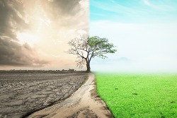 Seasonal Investing: Top Hurricane Stocks to Follow