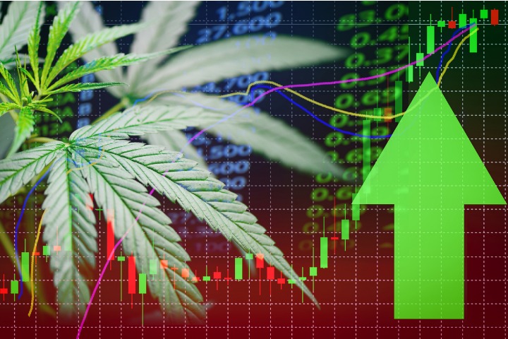 Here’s Why Cannabis Stocks are Getting High Again