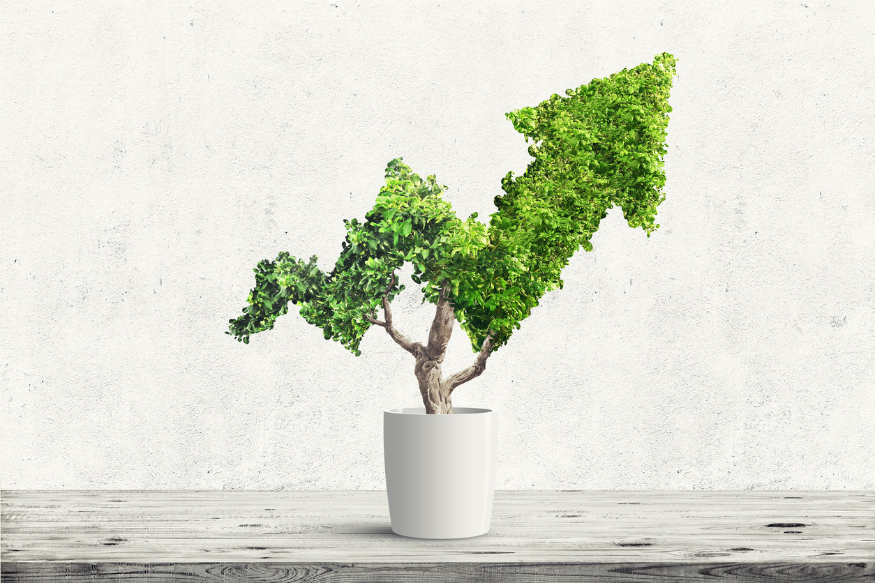 The Top Stocks to Consider on Biden’s Greenhouse Plans