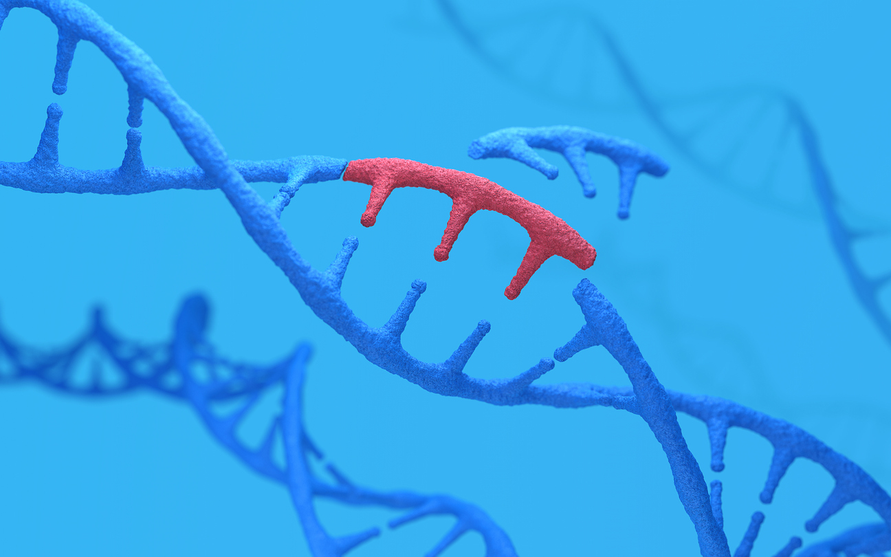 Gene Editing Stocks Exploding on Impressive Intellia News