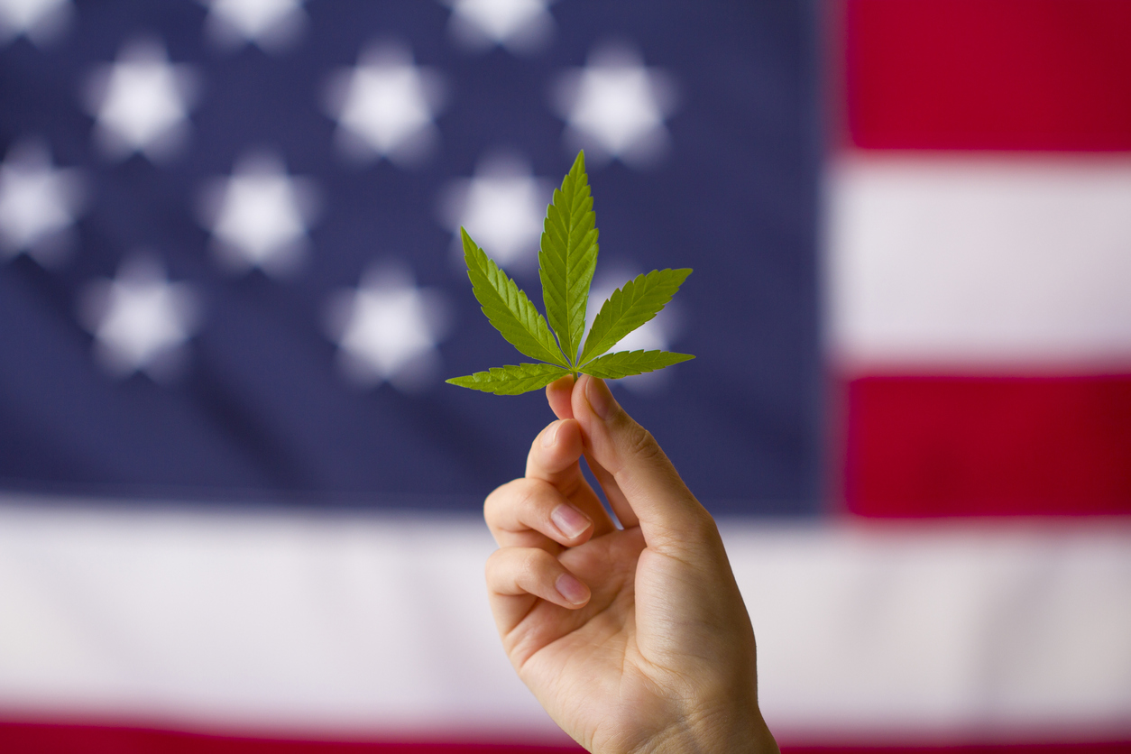 U.S. Legalization Could Send These Cannabis Stocks to Higher Highs