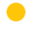 Massive USD Selloff: Who’s Set to Gain?