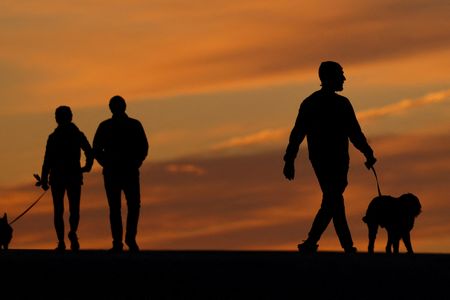 Column-Five new retirement numbers to know in 2024