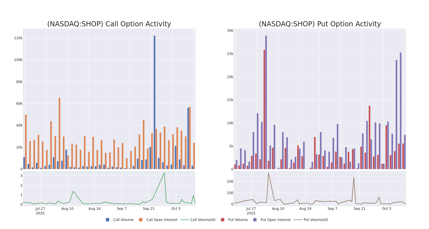 This Is What Whales Are Betting On Shopify